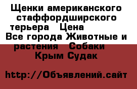 Щенки американского стаффордширского терьера › Цена ­ 20 000 - Все города Животные и растения » Собаки   . Крым,Судак